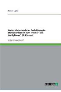 Unterrichtsstunde im Fach Biologie - Stationenlernen zum Thema Die Honigbiene (6. Klasse)