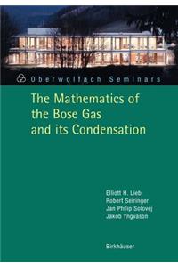 The Mathematics of the Bose Gas and its Condensation