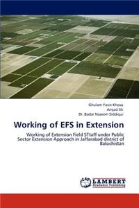 Working of Efs in Extension