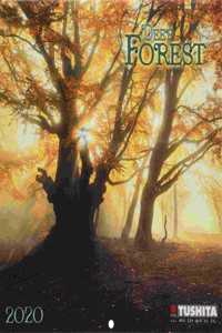 DEEP FOREST 2020