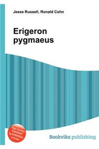 Erigeron Pygmaeus