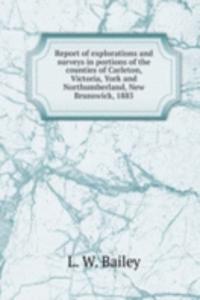 Report of explorations and surveys in portions of the counties of Carleton, Victoria, York and Northumberland, New Brunswick, 1885