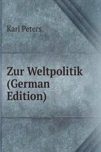 Zur Weltpolitik (German Edition)