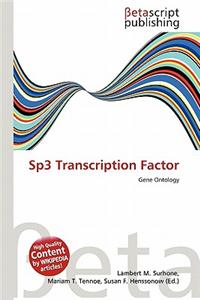 Sp3 Transcription Factor