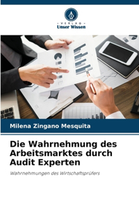 Wahrnehmung des Arbeitsmarktes durch Audit Experten