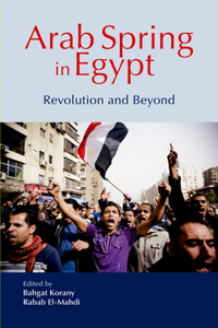 Arab Spring in Egypt: Revolution and Beyond: Revolution and Beyond