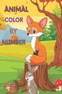 Color By Number Adult Coloring Book