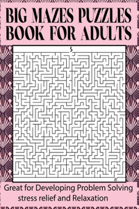 Big Mazes Puzzles Book For Adults