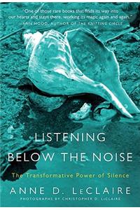 Listening Below the Noise