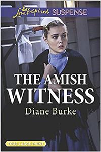 The Amish Witness