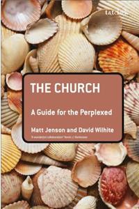 Church: A Guide for the Perplexed