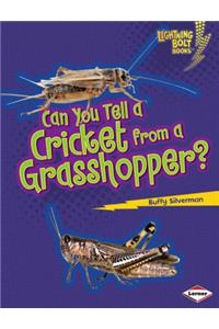 Can You Tell a Cricket from a Grasshopper?