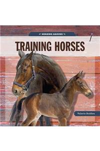 Training Horses