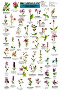Mac's Field Guides: Rocky Mountain Wildflowers