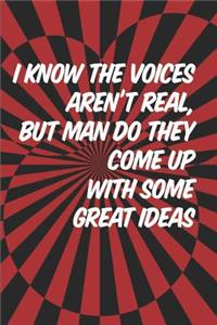 I Know The Voices Aren't Real, But Man Do They Come Up With Some Great Ideas