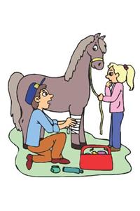 Horse Illustration School Composition Book Equine Horse Vet