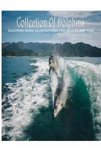 Collection Of Dolphins Coloring Book Illustrations For Adults & Kids