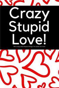 Crazy Stupid Love - The Crazy Things I've Done for Love