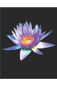 Nénuphar carnet