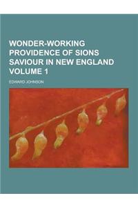 Wonder-Working Providence of Sions Saviour in New England Volume 1