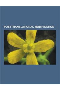 Posttranslational Modification: Disulfide Bond, Protein Targeting, Protease, Phosphorylation, Proteolysis, Methylation, Ubiquitin, Lipid-Anchored Prot