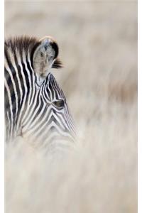 Alive! zebra stripes - Natural - Photo Art Notebooks (5 x 8 series)