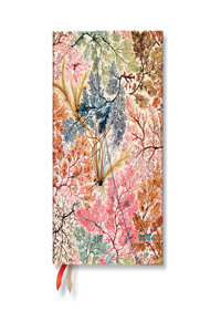 Paperblanks 2024 Anemone William Kilburn 12-Month MIDI Horizontal Wrap Closure 160 Pg 100 GSM