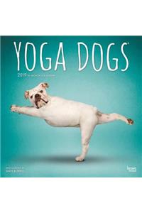 Yoga Dogs 2019 Square