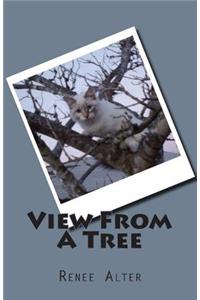 View From A Tree