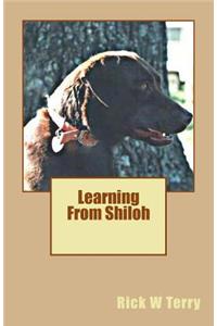 Learning From Shiloh