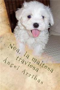 Noa, la maltesa traviesa