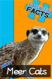 Fantastic Facts about Meer Cats