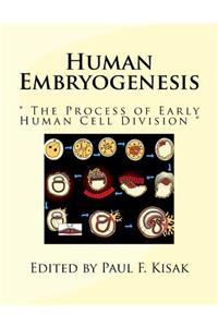 Human Embryogenesis