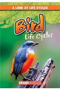 Bird Life Cycles