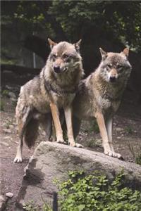 Two Wolves Checking You Out Journal