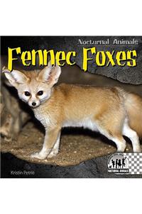 Fennec Foxes