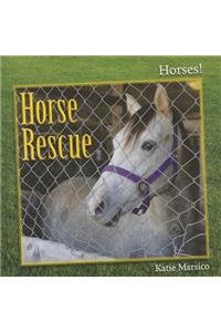 Horse Rescue