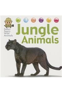 Jungle Animals