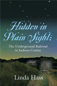 Hidden In Plain Sight
