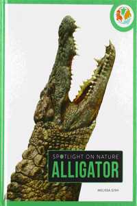 Alligator