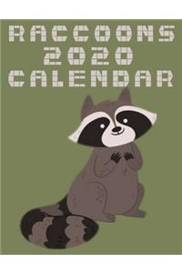 raccoon calendar 2020