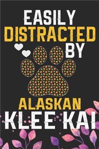Easily Distracted by Alaskan Klee Kai
