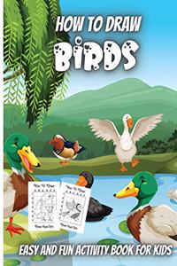 How To Draw Birds
