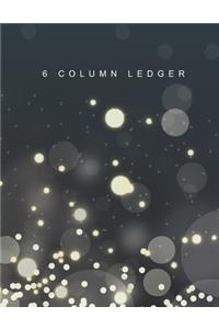 6 Column Ledger