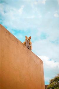 Ginger Cat on a Wall Journal