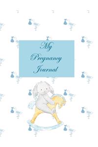 My Pregnancy Journal