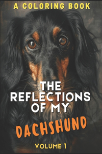 Reflections of My Dachshund