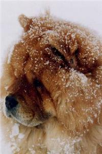 Chow Chow Dog in the Snow Journal
