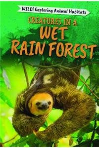 Creatures in a Wet Rain Forest