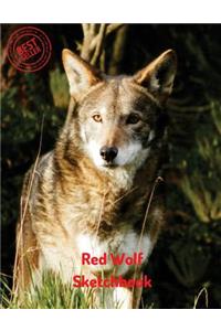 Red Wolf Sketchbook